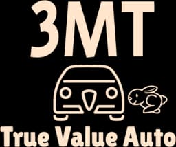 3MT